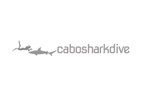 cabo shark dive