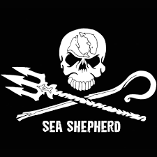 seasheperd